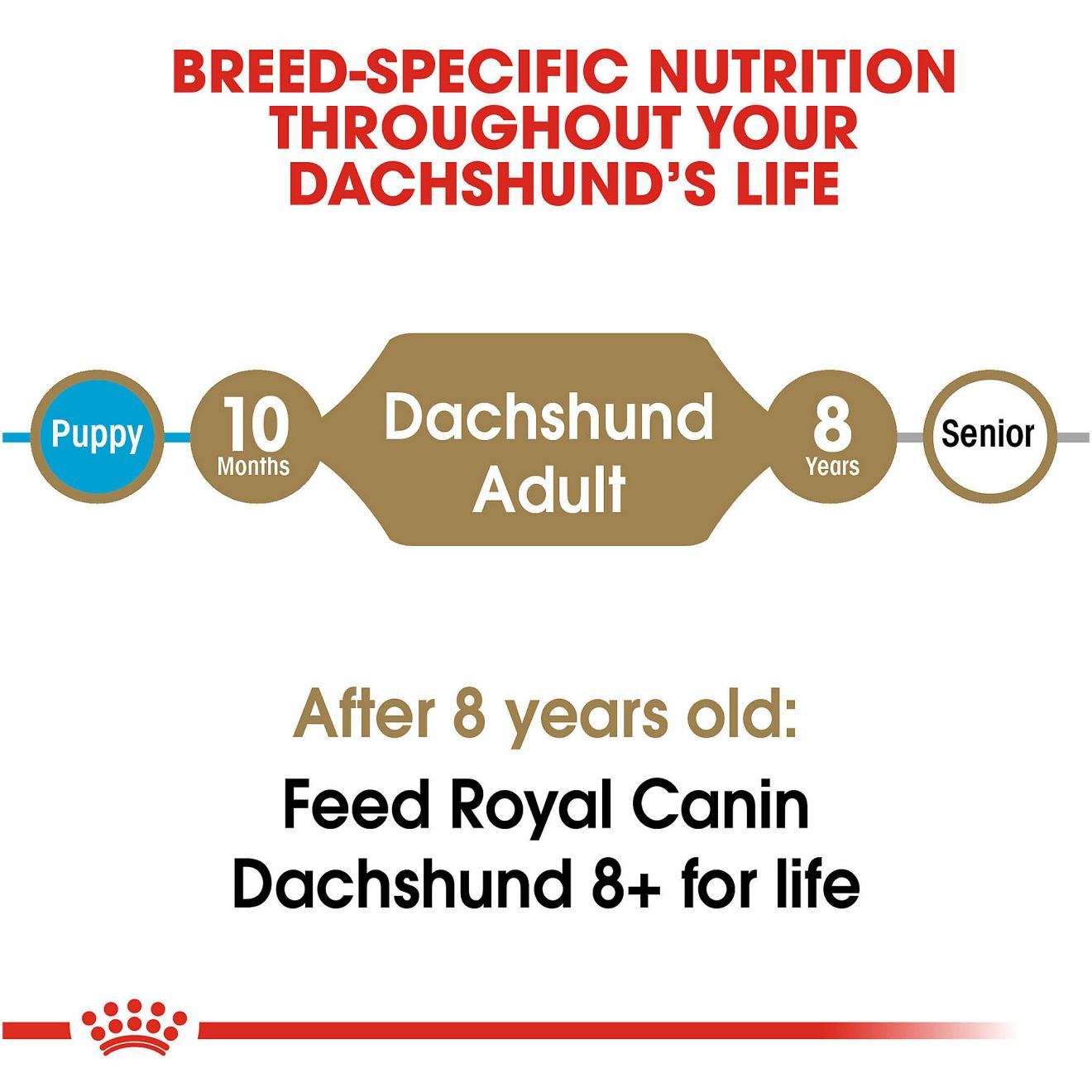  Royal Canin Dachshund Puppy Breed Specific Dry Dog