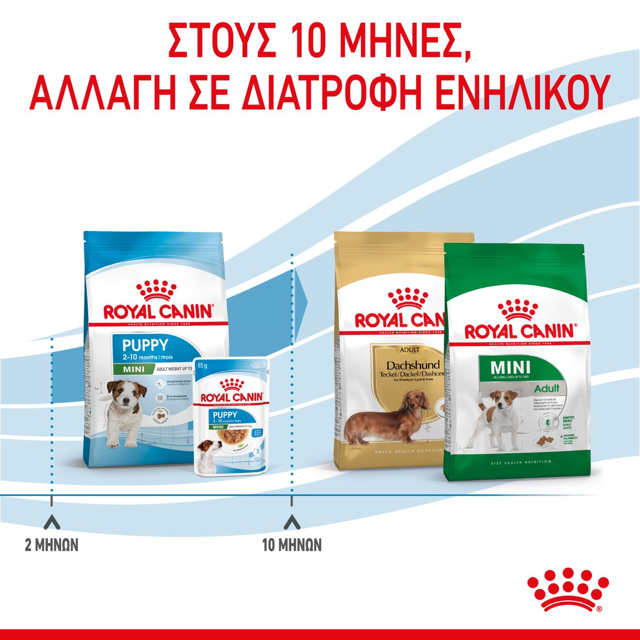 PUPPY - MINI