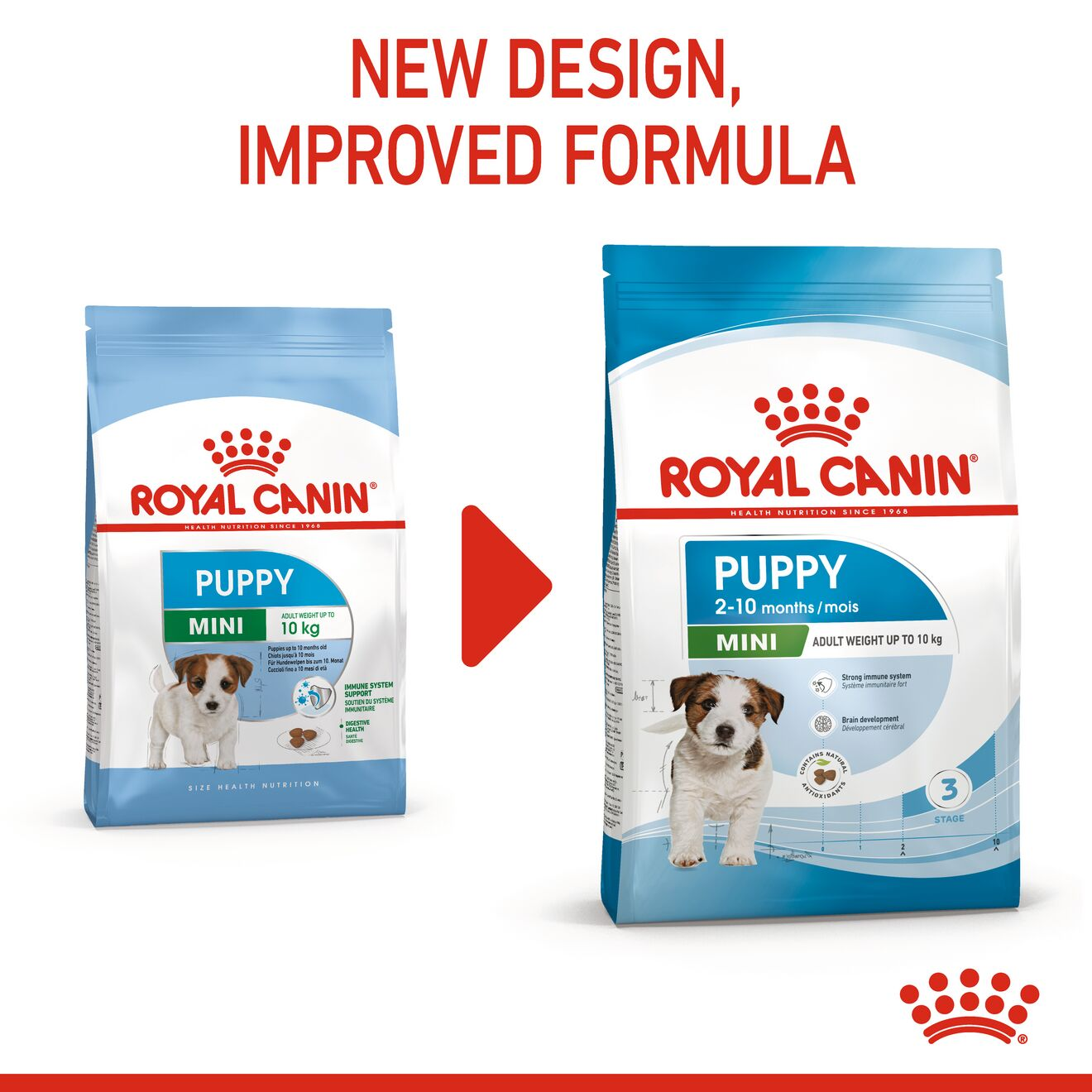 Royal canin puppy shop how much to feed