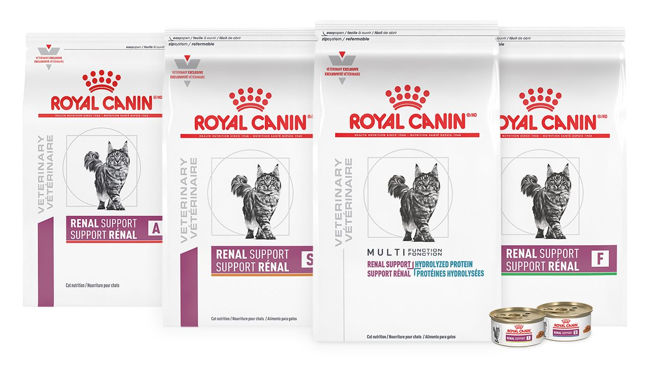 Royal Canin packshot of cat renal products