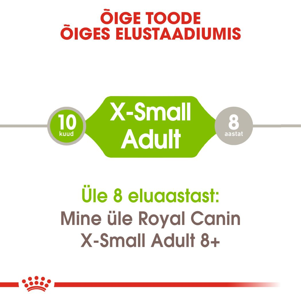 Royal Canin X-Small Adult kuivtoit