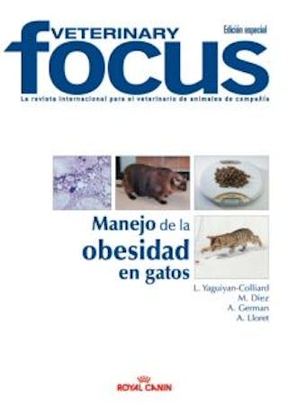 Manejo de la obesidad en gatos