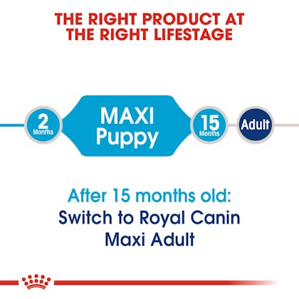 Maxi Puppy dry Royal Canin