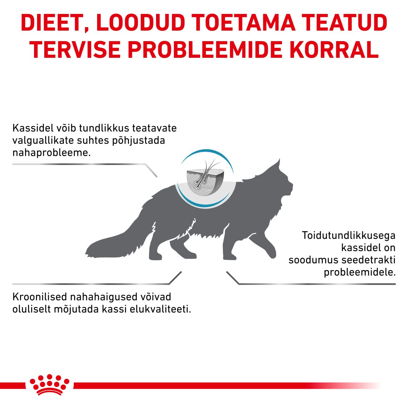 Royal Canin Sensitivity Control Cat kuivtoit