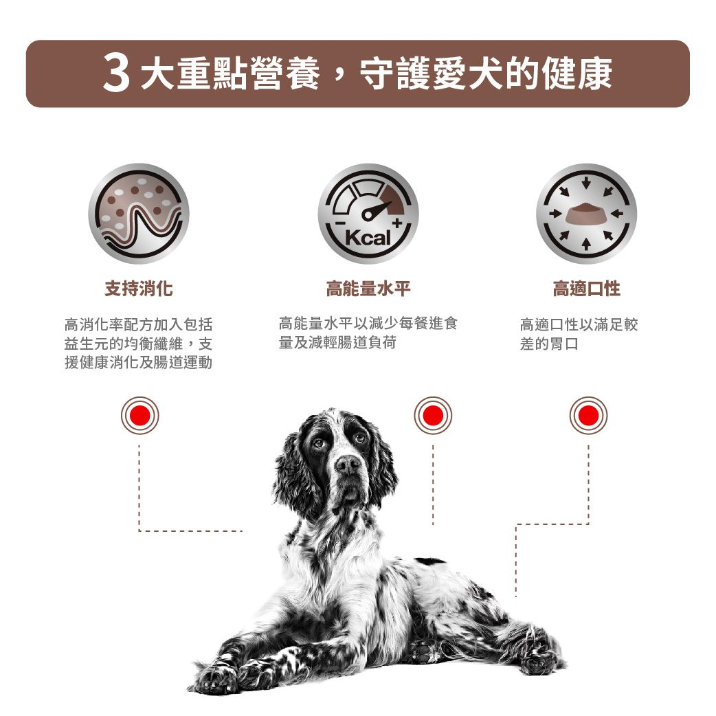 成犬腸胃處方罐頭