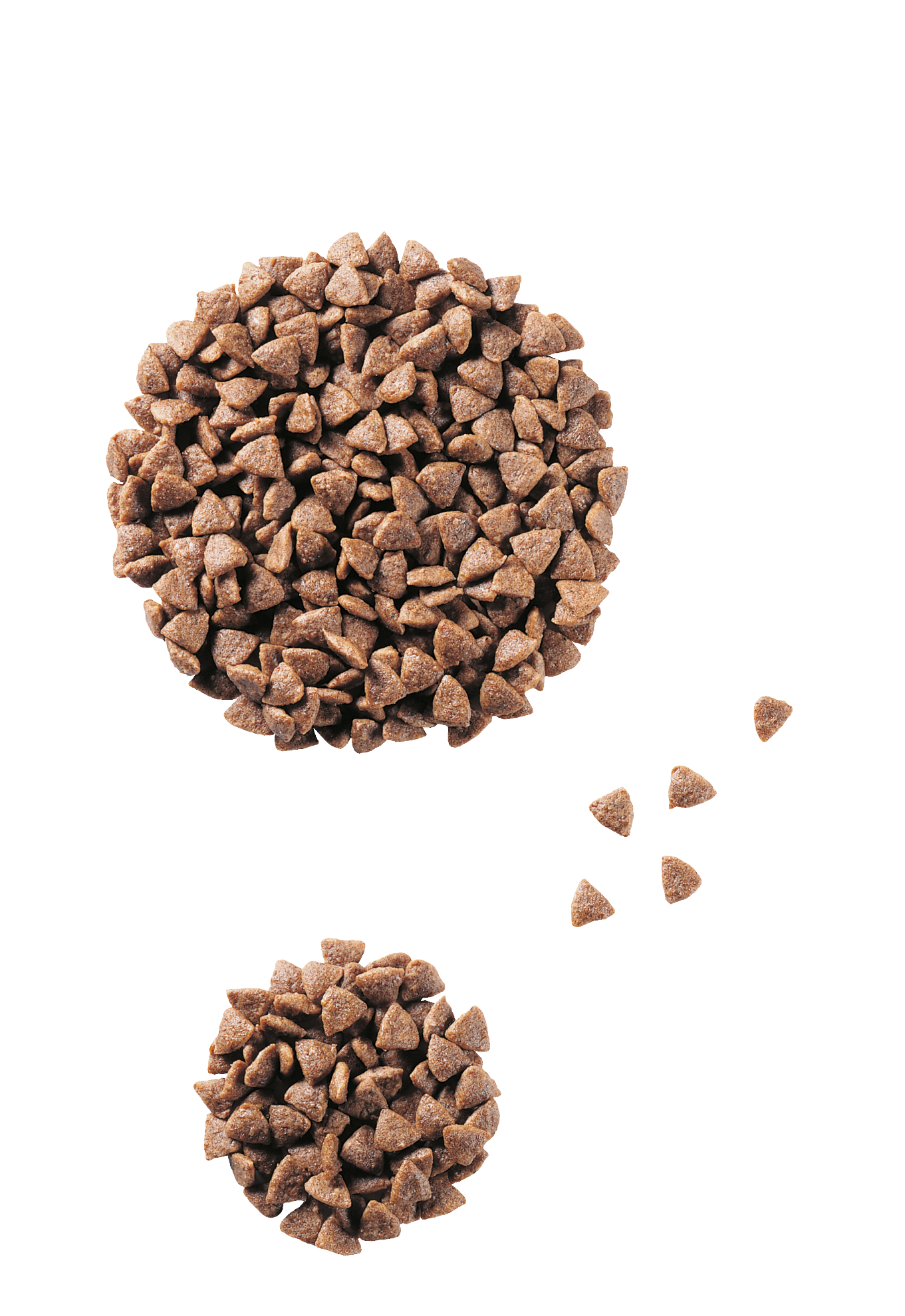 royal canin junior small dog