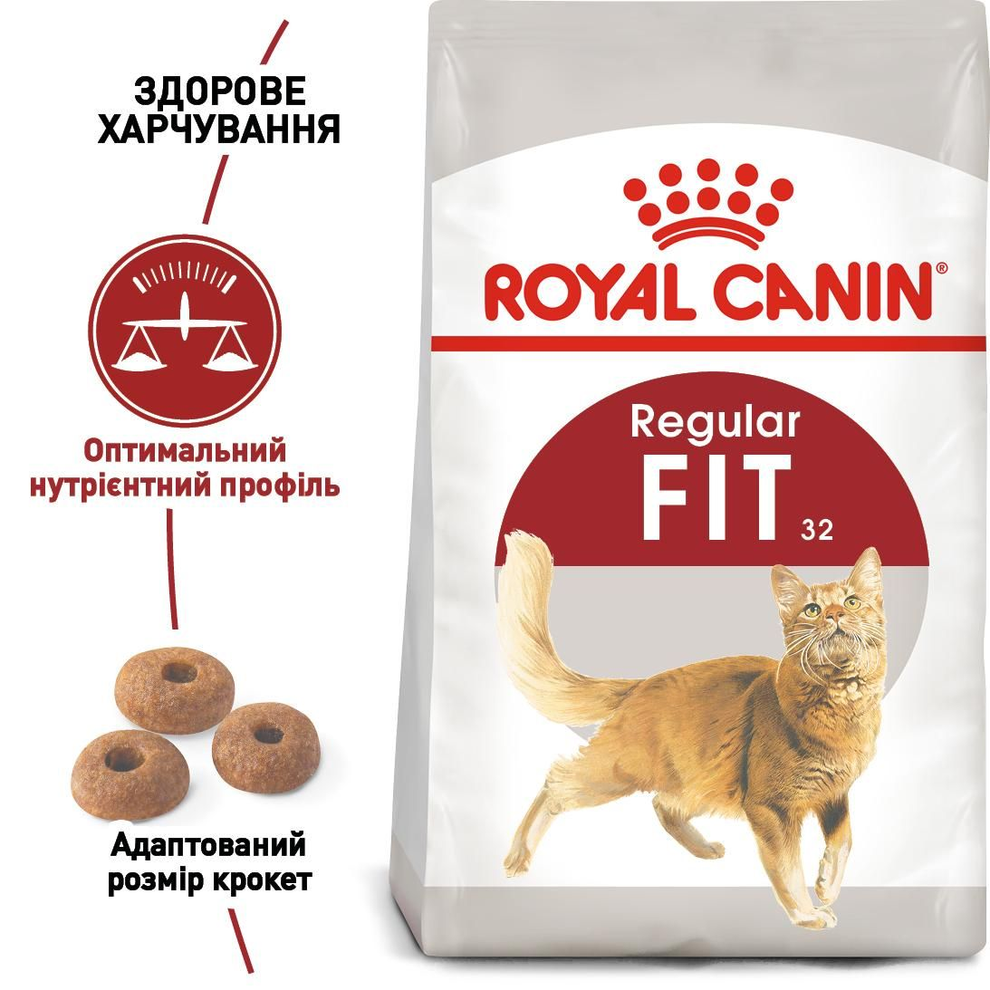FIT 32