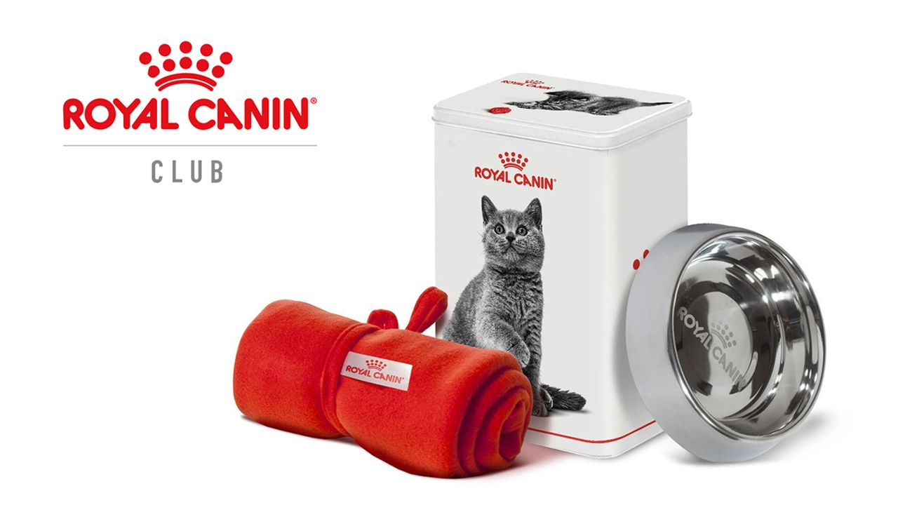 Ingin tips menarik lainnya?