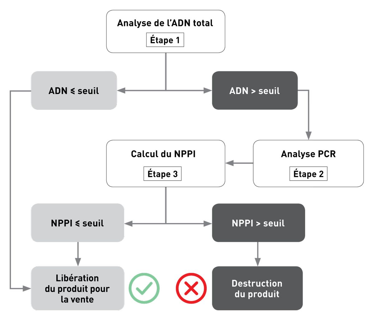 Figure 2. Chaque lot de production est testé pour déterminer s’il existe une contamination croisée avec des protéines indésirables via une analyse ADN en 3 étapes.  • Étape 1 : La teneur totale en ADN est mesurée et comparée à un seuil établi lors d’une étude préclinique multicentrique menée chez des chiens souffrant d’intolérance ou d’allergie alimentaire complexe ou réfractaire ( 5 ).  • Étape 2 : Si la teneur en ADN excède ce seuil, une analyse PCR est réalisée pour identifier le type de contamination protéique.  • Étape 3 : La concentration en protéines indésirables est calculée à partir de la teneur totale en ADN et de la courbe d’étalonnage correspondante. Il s’agit de l’indice de non-pollution protéique ou NPPI*. Si le NPPI est inférieur ou égal au seuil acceptable, le lot est mis sur le marché, mais si le NPPI est supérieur à la limite acceptable, le lot est éliminé.
