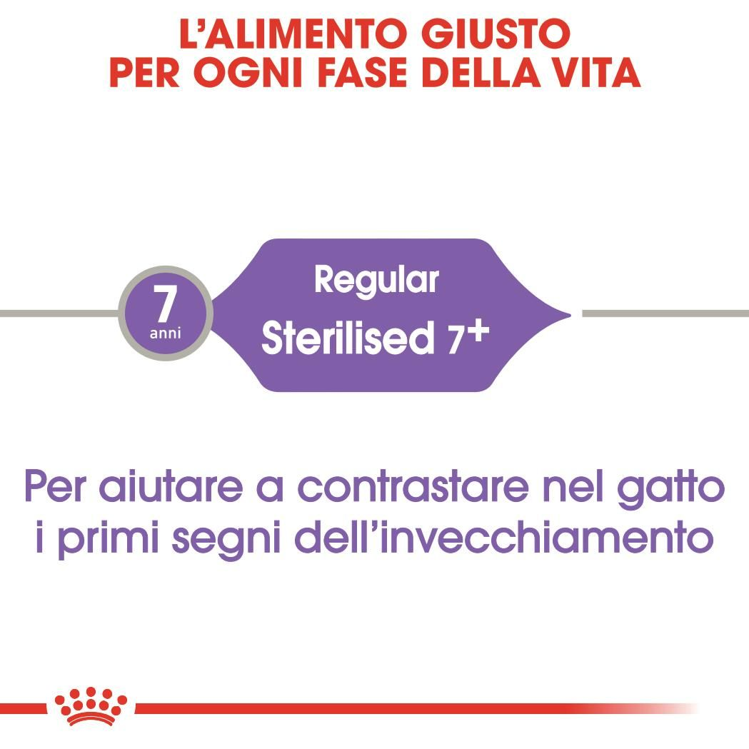 Sterilised 7+