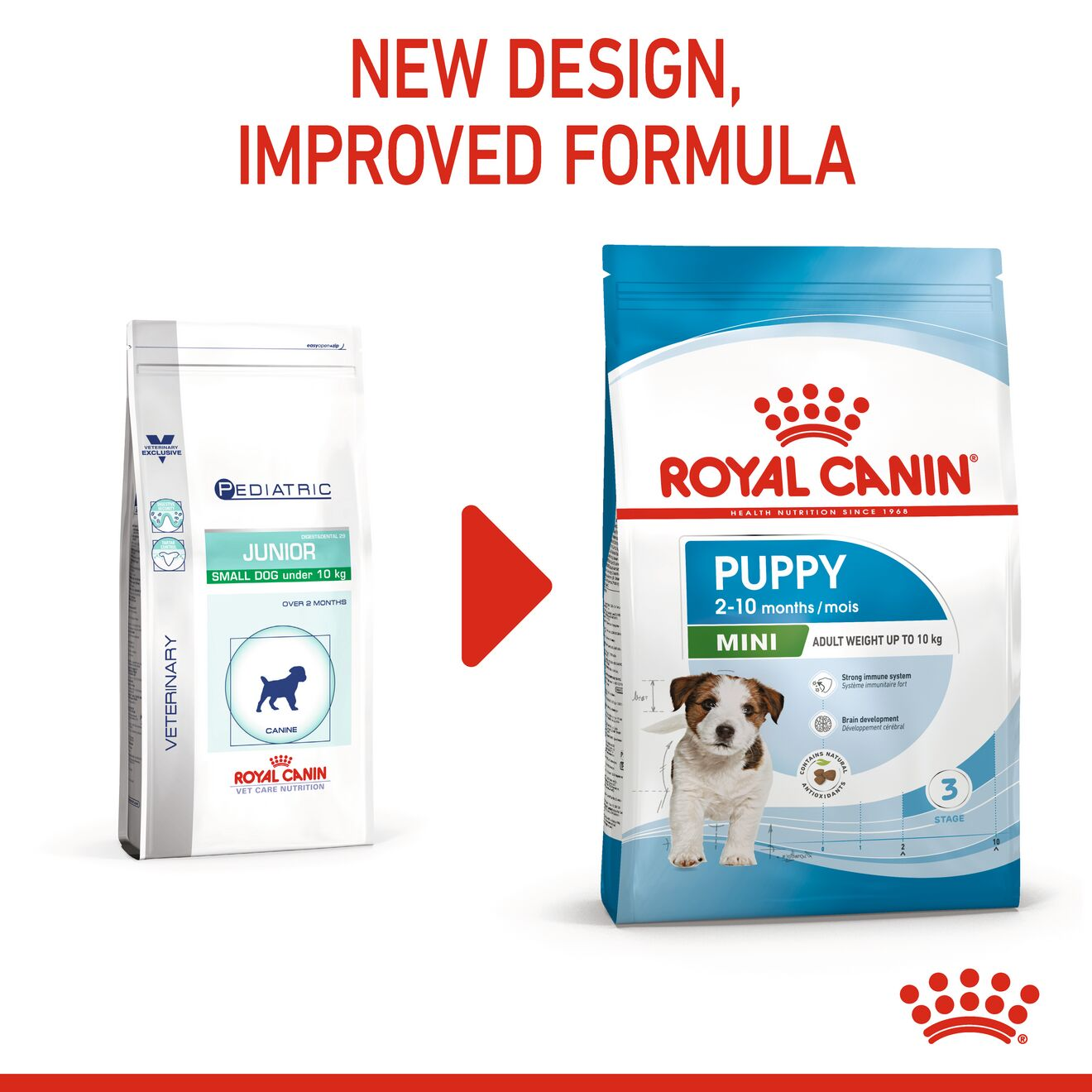 Royal canin best sale puppy food amount