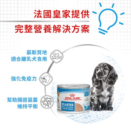 STM方_３