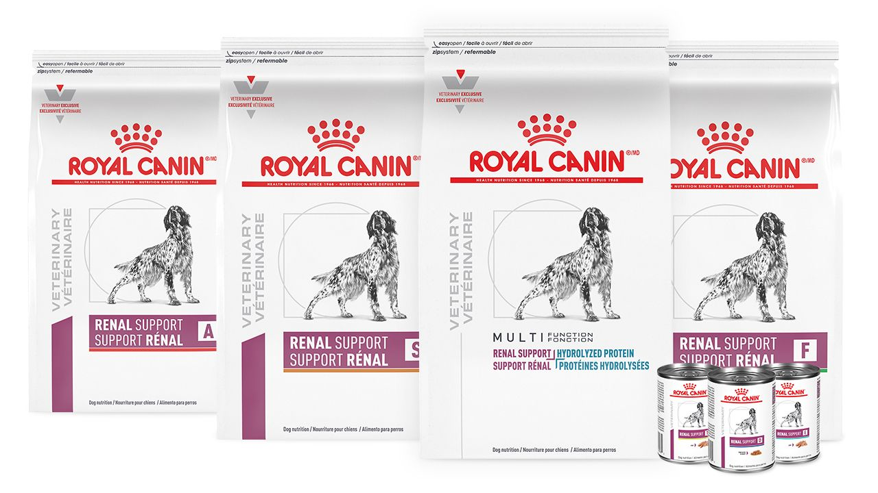 Royal Canin packshot of dog renal products