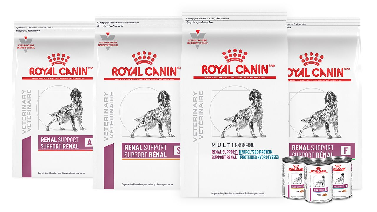 what is renal support dog food