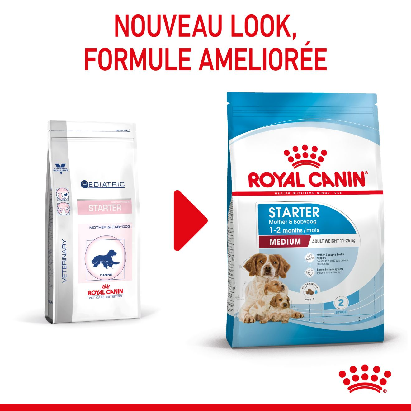 Medium Starter Mother & Babydog pour chiot