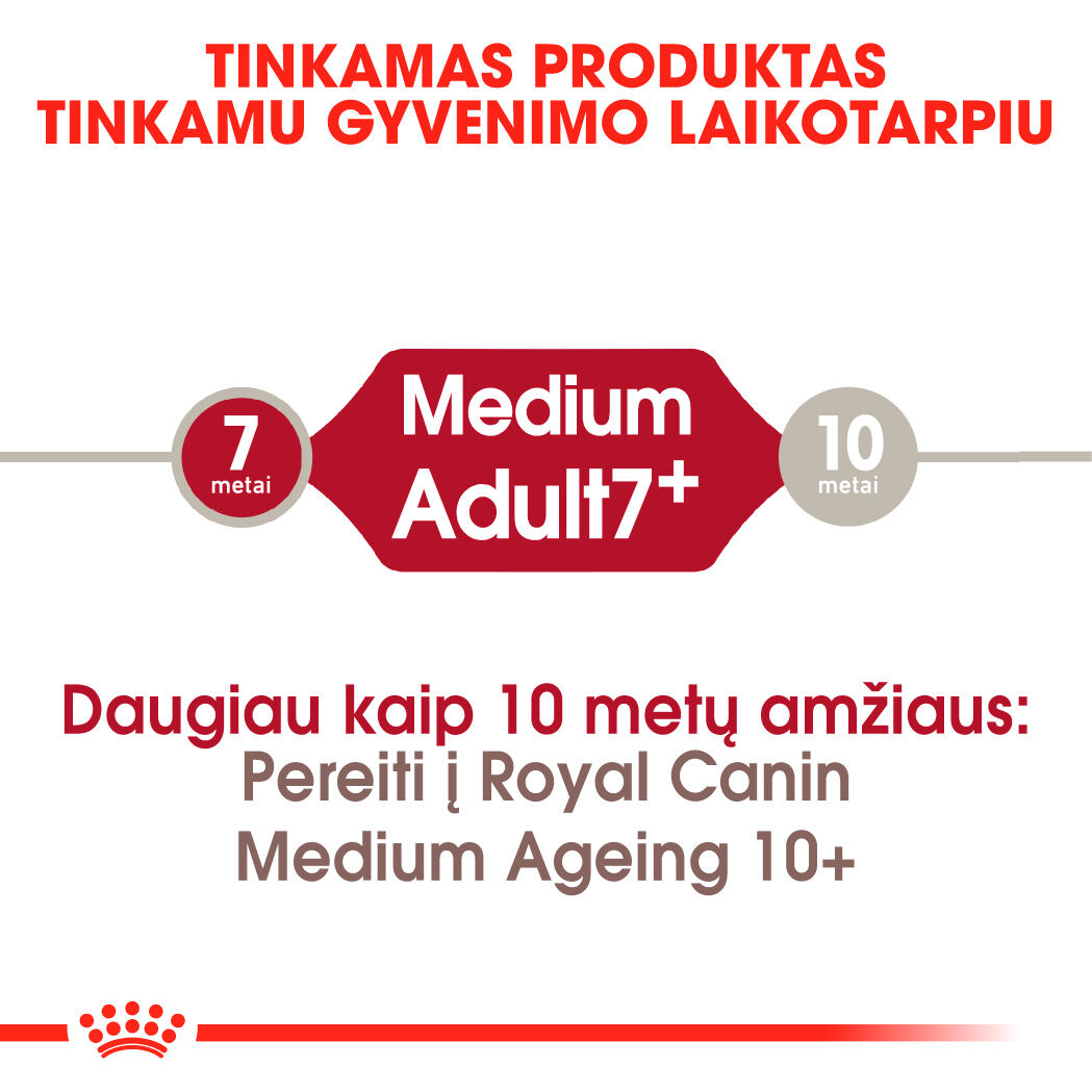 Medium Adult 7+