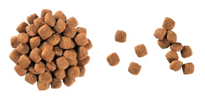 12 VCNF DRY Kibbles - NEU-YF-VCNC-CROC