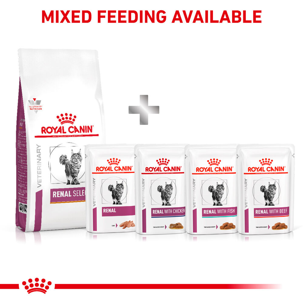 Royal canin renal select dry best sale cat food