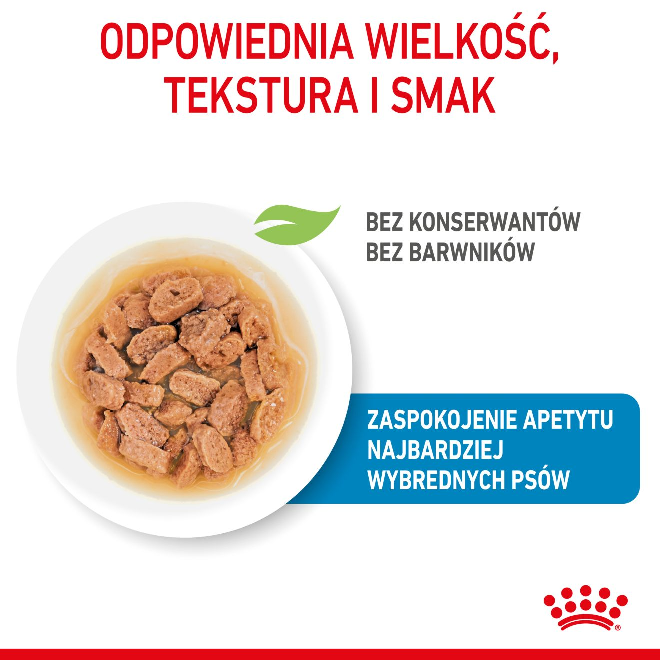 ROYAL CANIN Mini Puppy karma mokra w sosie dla szczeniąt do 10 miesiąca, ras małych