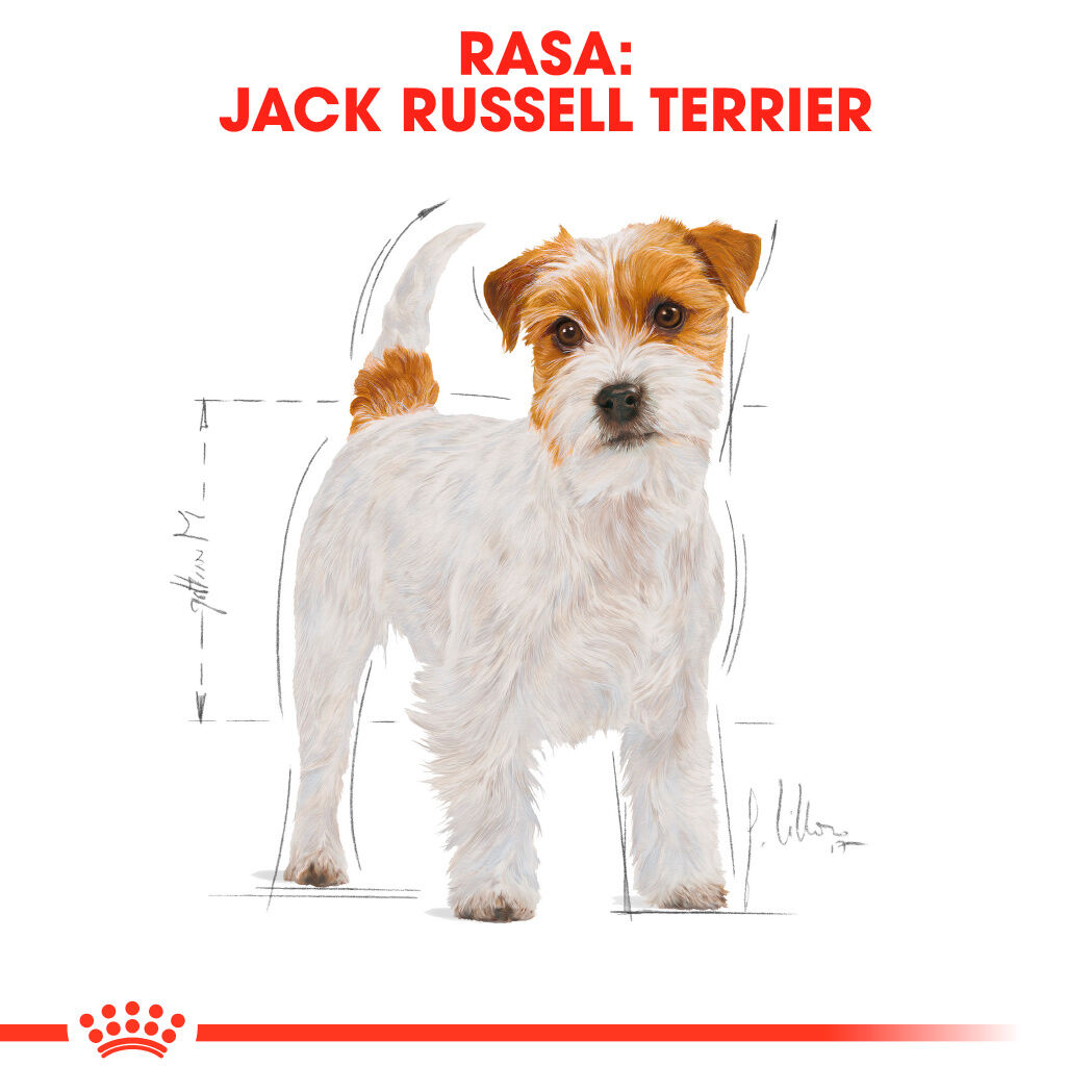อาหารสุนัขโต พันธุ์แจ็ค รัสเซลล์ เทอร์เรีย ชนิดเม็ด (JACK RUSSELL ADULT)