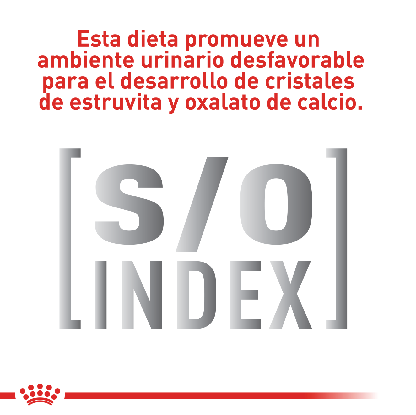 Satiety Weight Management Perro Pequeño