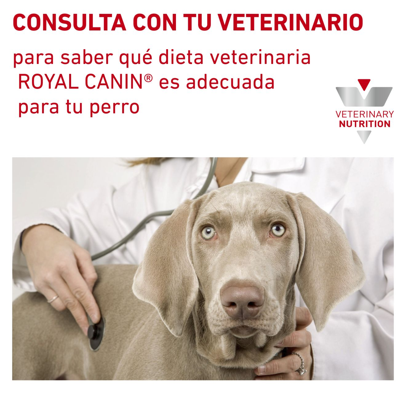 Royal canin hypoallergenic 2024 moderate calorie 14kg