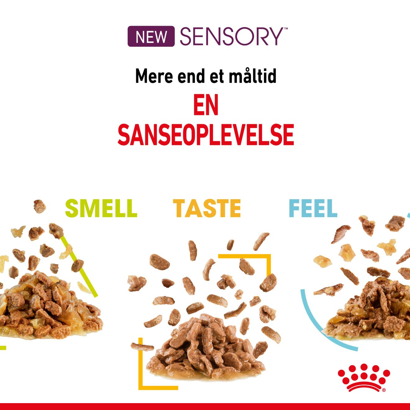 Sensory Smell Taste Feel Gravy Adult 