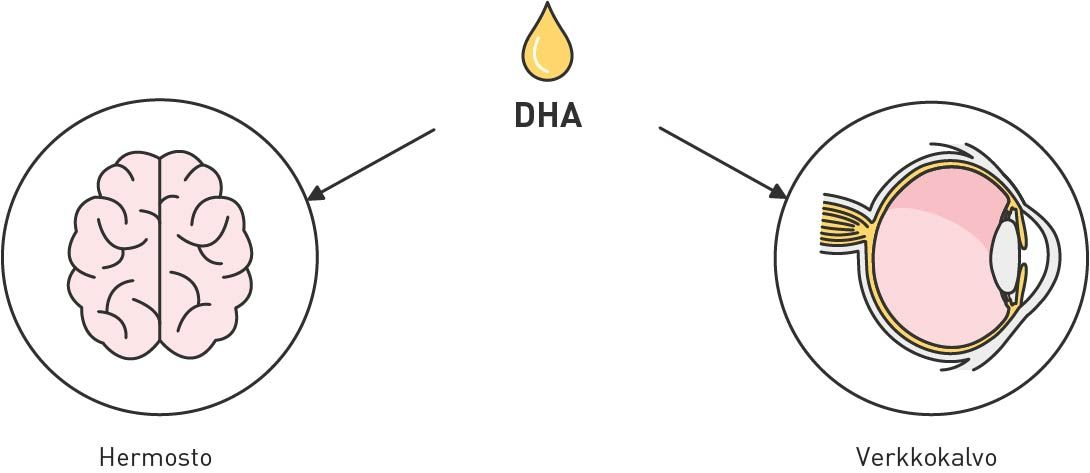 Content Block With Text And Image 3