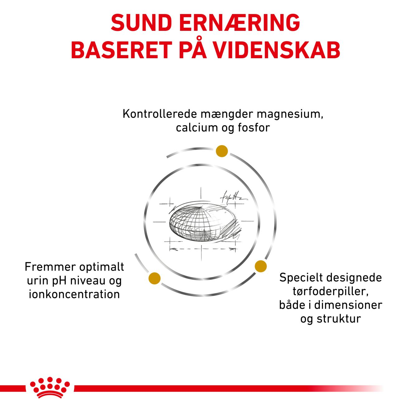 Urinary S/O Small Dog