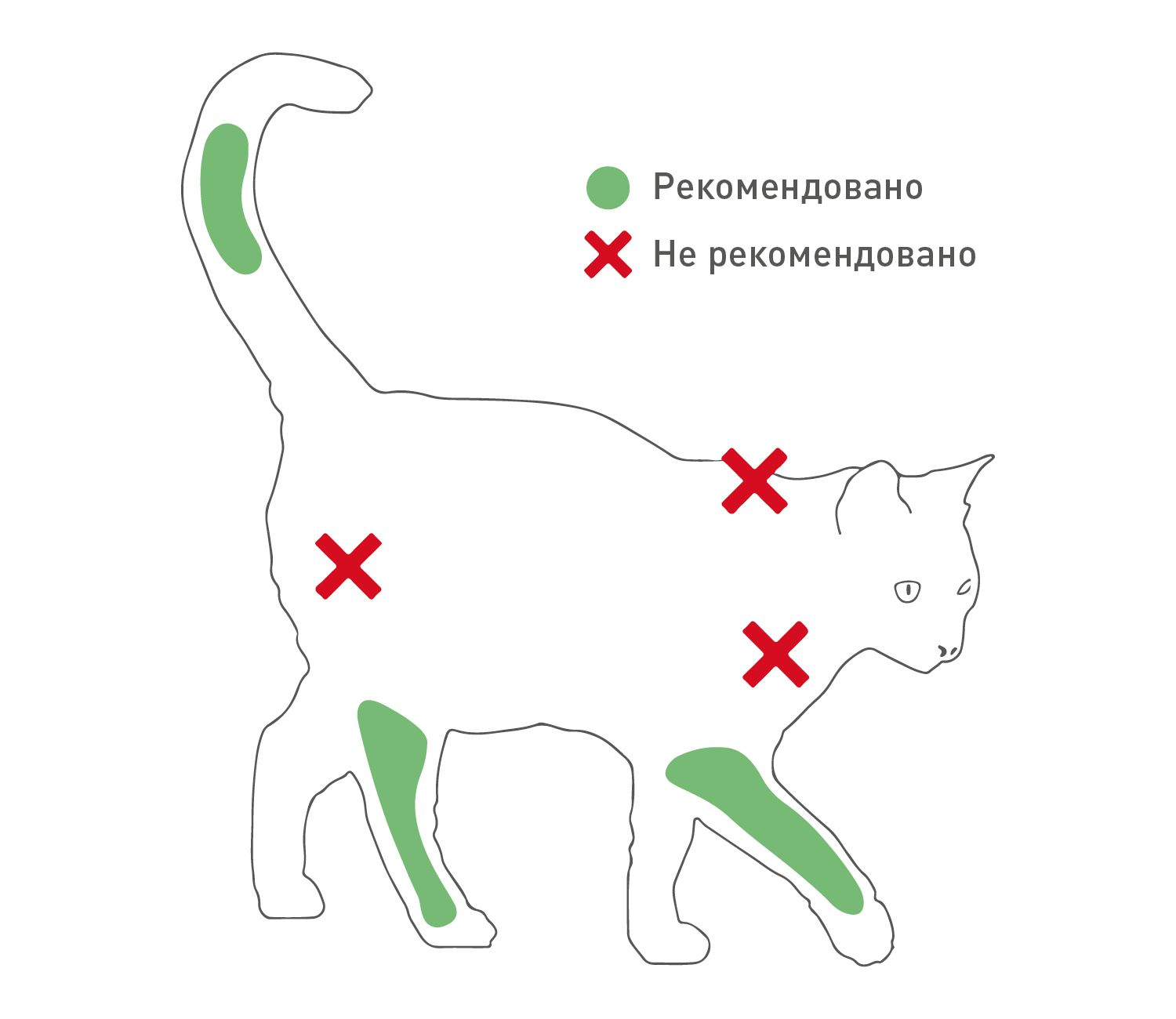 Рисунок 1. Рекомендовані місця вакцинації позначені зеленим кольором; місця, які часто використовуються, але яких слід уникати,