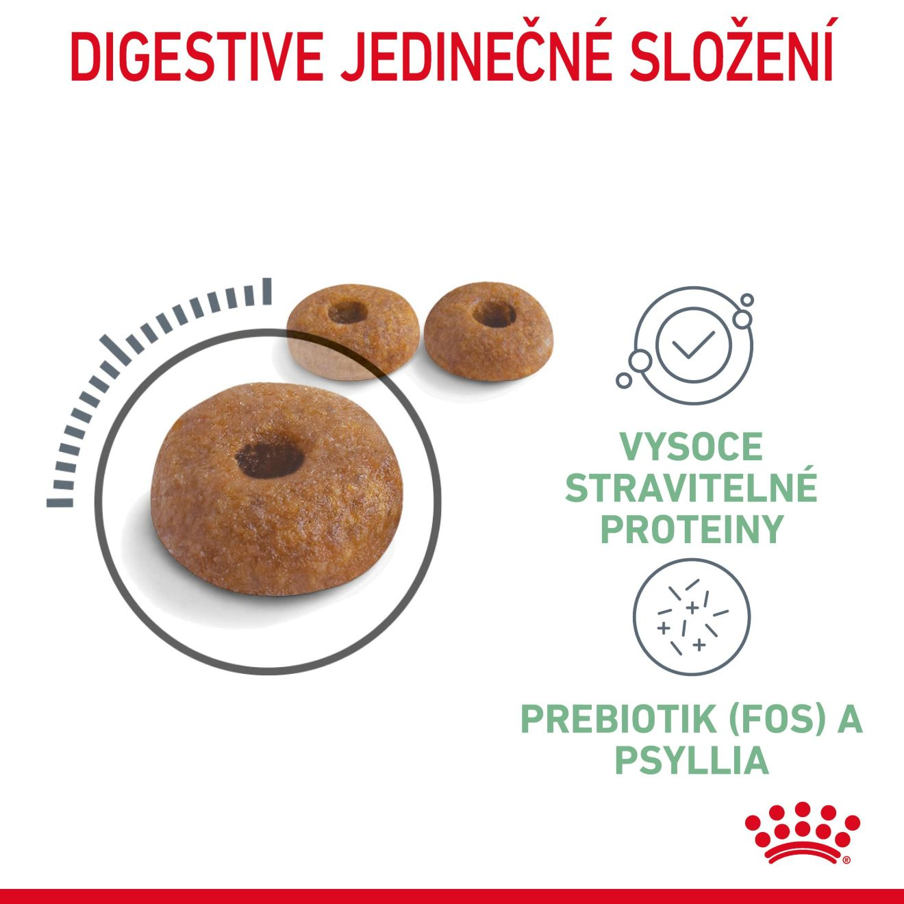 DIGESTIVE CARE 
