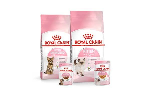 Royal Canin kitten products pack shot