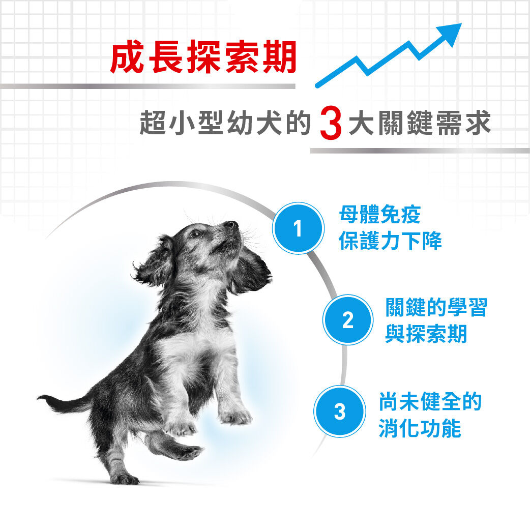 XSP 迷你型幼犬專用乾糧 