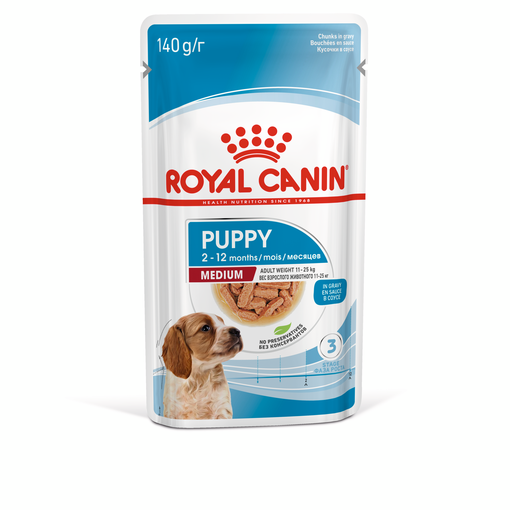 Feeding puppies wet food sale