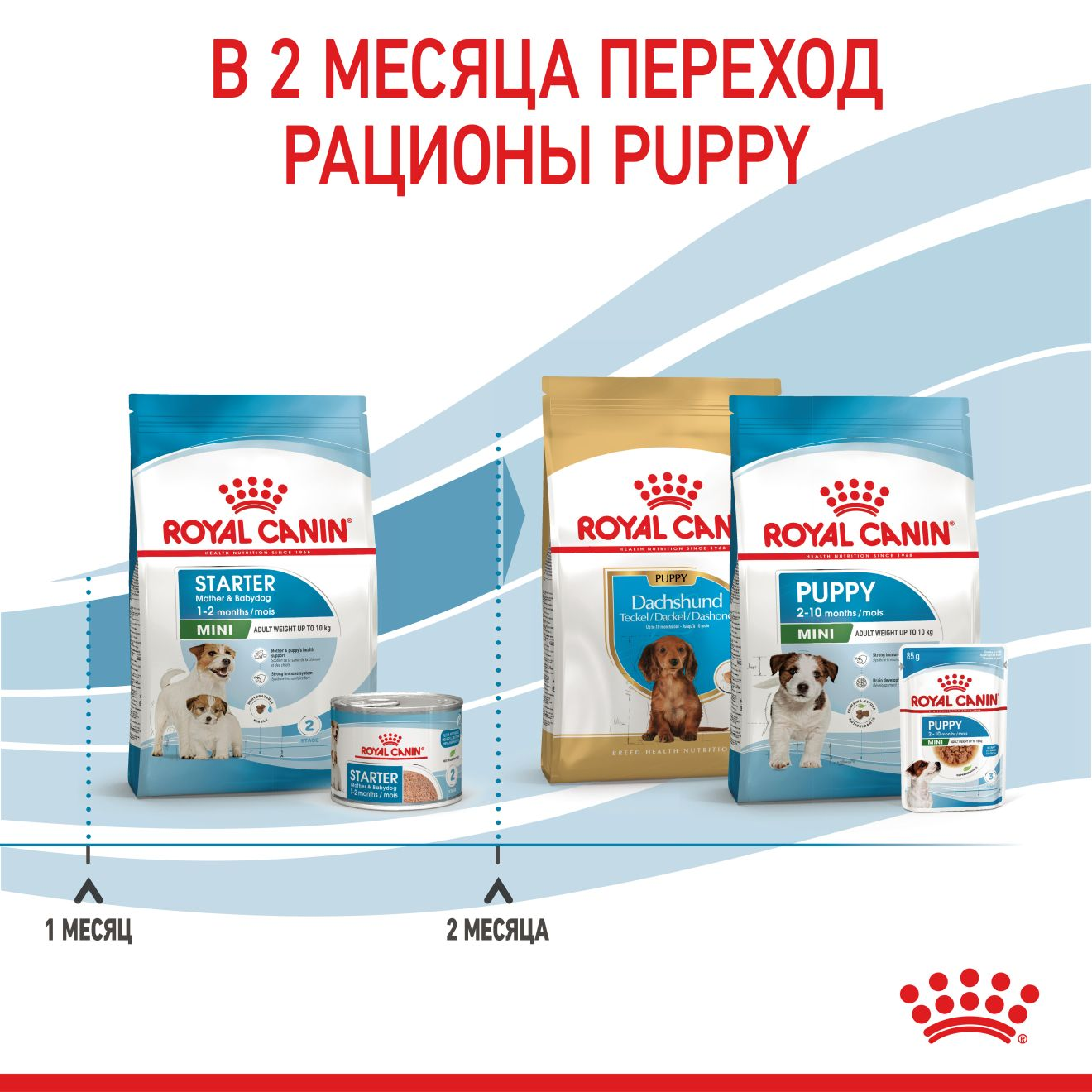 Starter Mother & Babydog - Mini