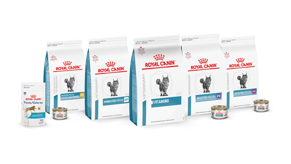 Royal canin 2025 derm diet