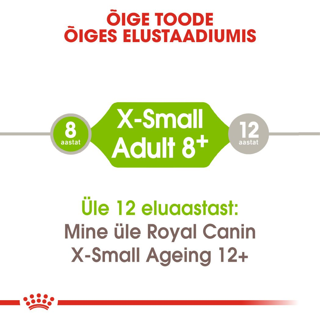 Royal Canin X-Small Adult 8+ kuivtoit