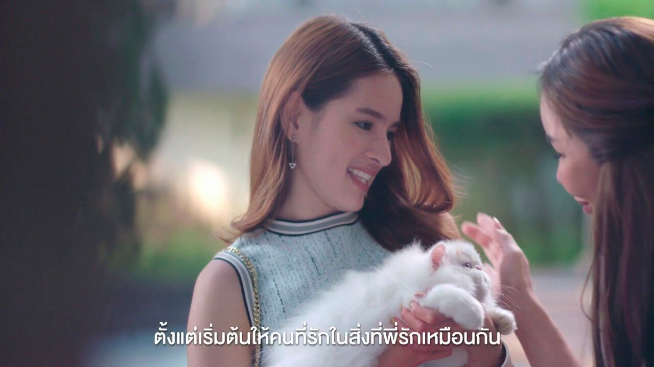 Royal Canin จุดเริ่มต้นที่ดี เพื่อสุขภาพของลูกแมวและลูกสุนัข