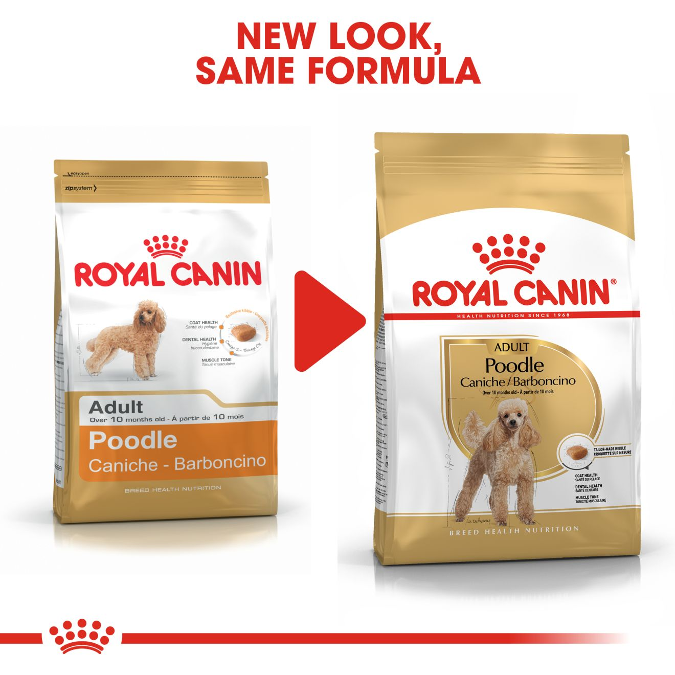 Poodle junior shop royal canin