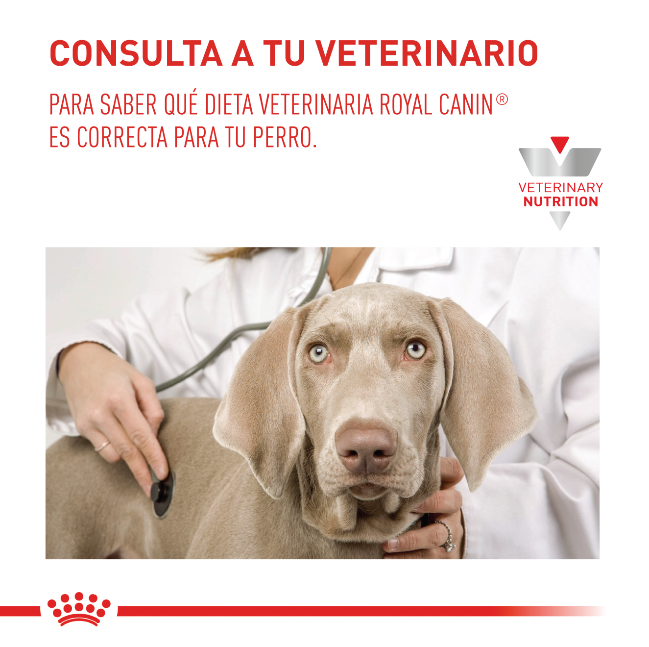 Satiety Weight Management Perro Pequeño