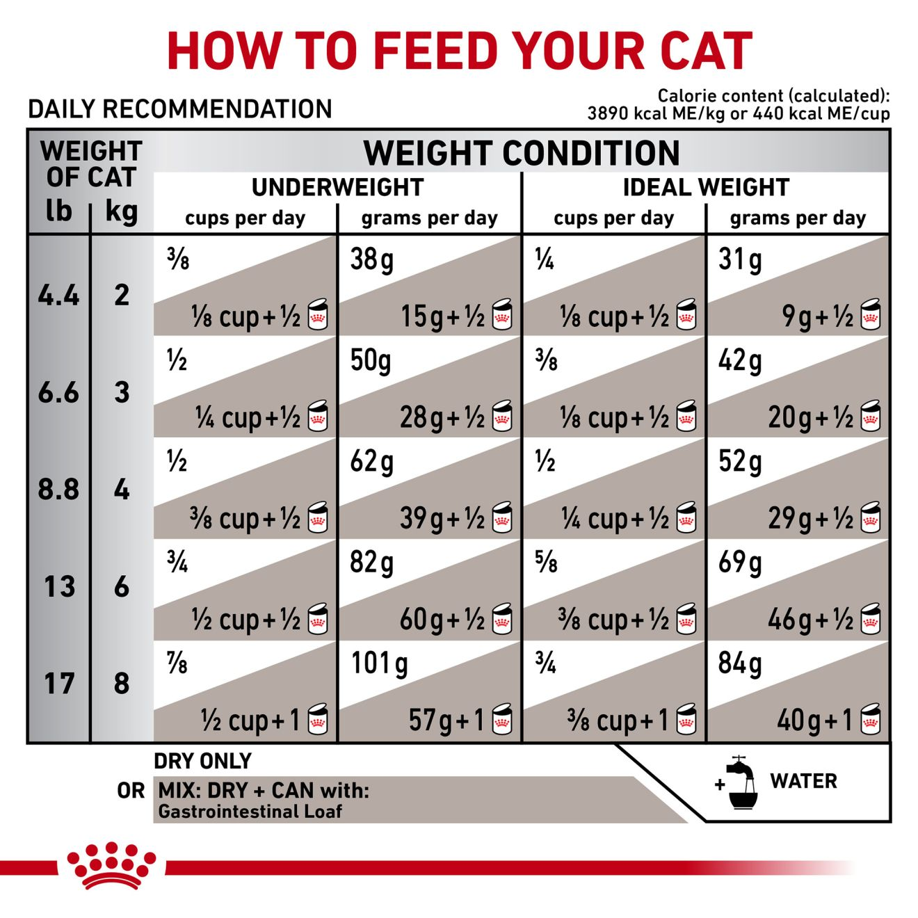 Gastrointestinal dry 2024 cat food