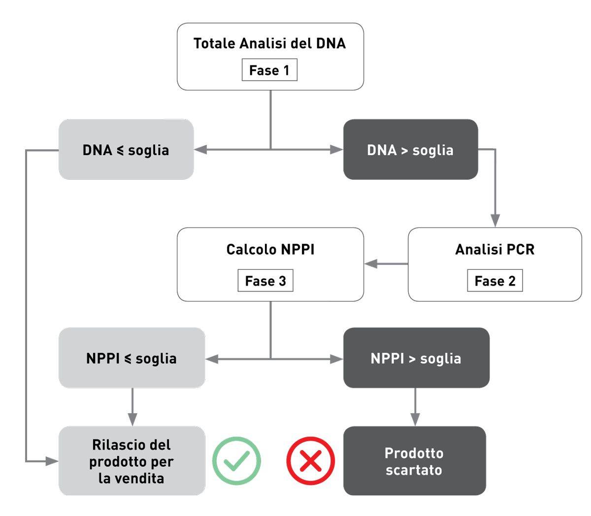 Figura 2. Ogni lotto di produzione viene testato per determinare se c’è stata una contaminazione crociata con proteine indesiderate utilizzando una specifica analisi in 3 fasi basata sul DNA.  • Fase 1: si misura il contenuto totale di DNA e lo si confronta con una soglia stabilita durante uno studio preclinico multicentrico su cani affetti da RAA complesse o refrattarie ( 5 ).  • Fase 2: se i livelli di DNA superano la soglia, si effettua un’analisi PCR per identificare il tipo di contaminazione proteica.  • Fase 3: la concentrazione di proteine indesiderate viene calcolata in base alla misurazione del DNA totale utilizzando la curva di calibrazione appropriata. Questo valore è noto come NPPI (No Protein Pollution Index, indice di inquinamento proteico nullo). Se l’NPPI è pari o inferiore alla soglia accettabile, il lotto viene rilasciato per la vendita; se l’NPPI è superiore al limite accettabile, il lotto viene scartato.