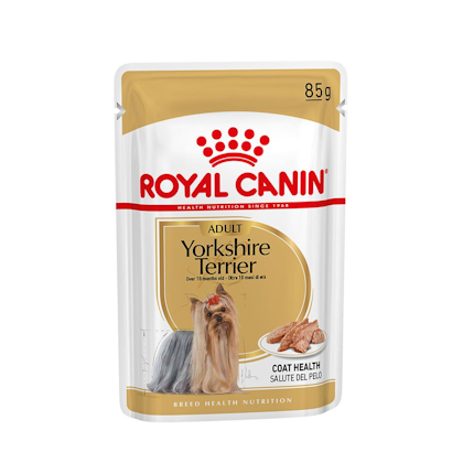 AR-L-Producto-Yorshire-Terrier-Breed-Healt-Nutrition-Wet