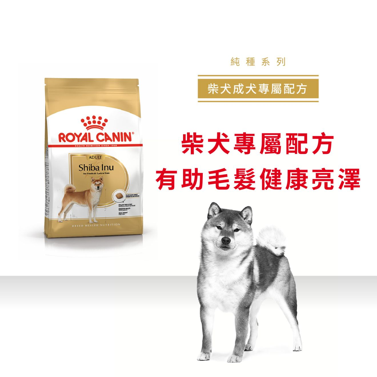 Royal canin for outlet shiba inu