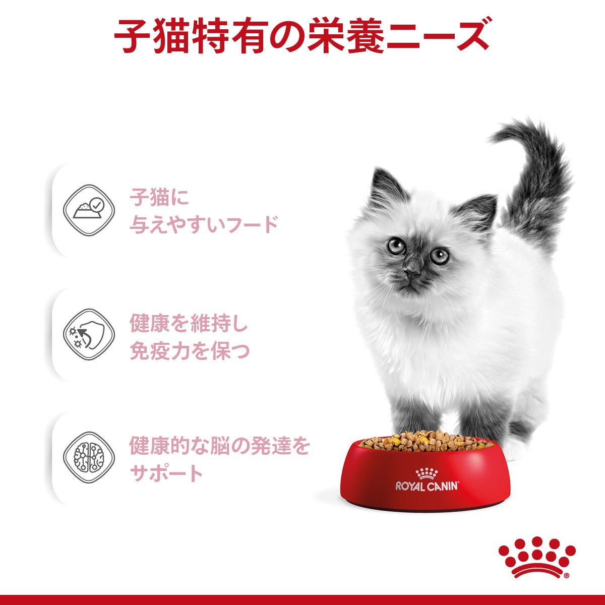 アンティーク ラビットファーキトン 子猫 253041-1.jpg
