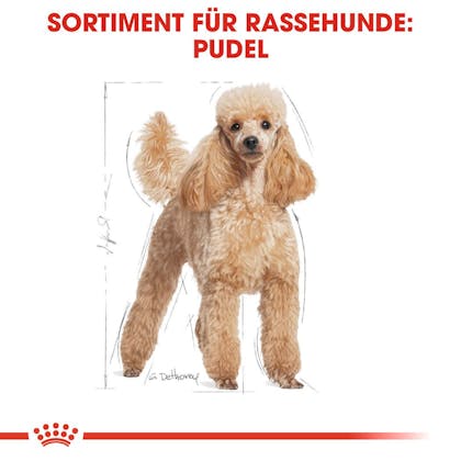 RC-BHN-Wet-Poodle-Feuchtnahrung_Sortiment_DE