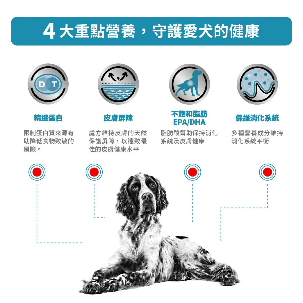 成犬過敏控制處方