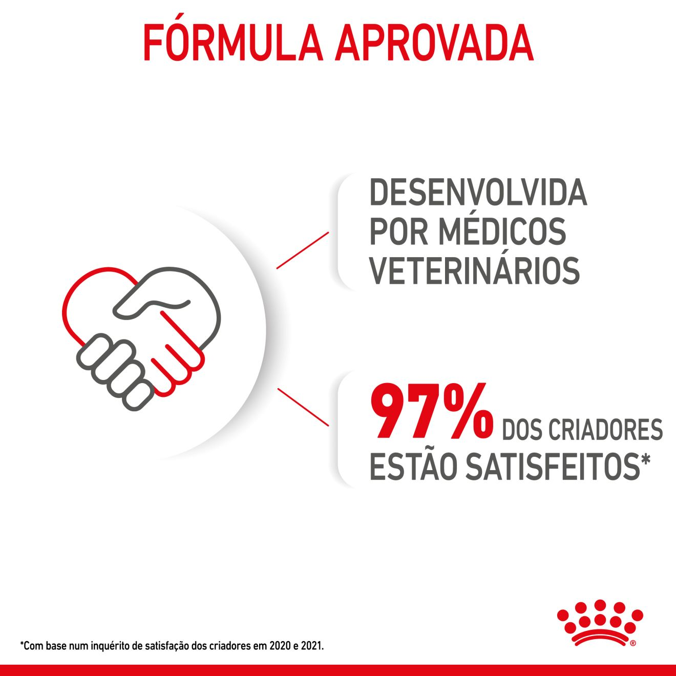 STARTER Mother & Babydog – Ultra soft mousse