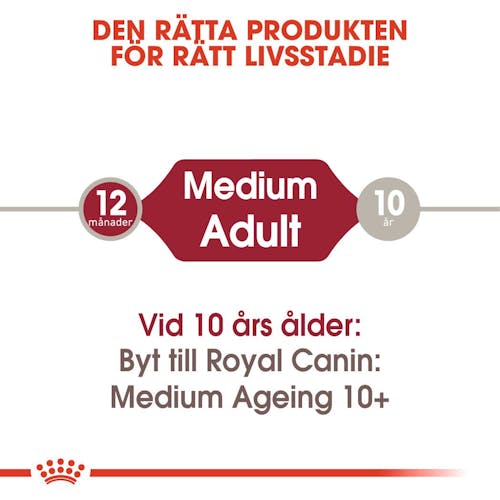 Medium Adult bitar i sås