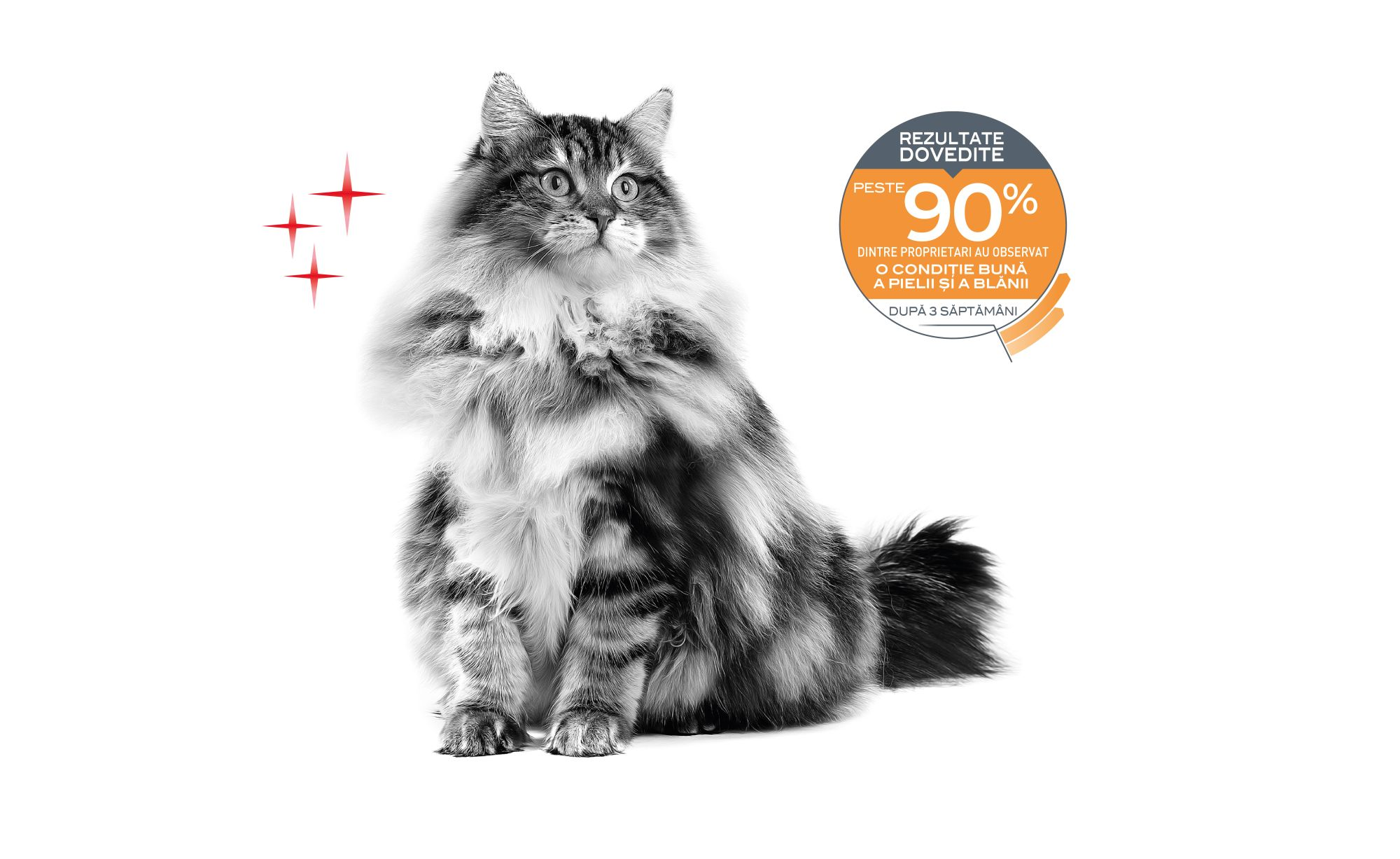 feline care emblematics Romania